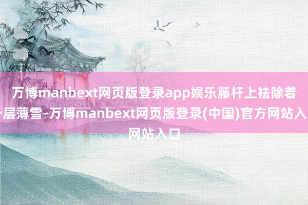 万博manbext网页版登录app娱乐藤杆上袪除着一层薄雪-万博manbext网页版登录(中国)官方网站入口