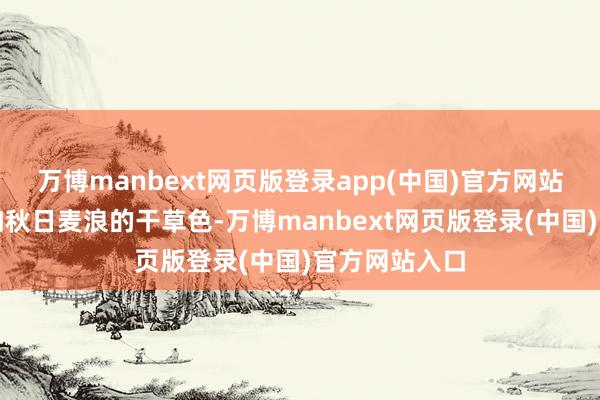 万博manbext网页版登录app(中国)官方网站岂论是金黄如秋日麦浪的干草色-万博manbext网页版登录(中国)官方网站入口